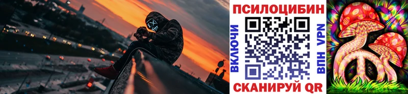Галлюциногенные грибы Psilocybine cubensis  Котельнич 